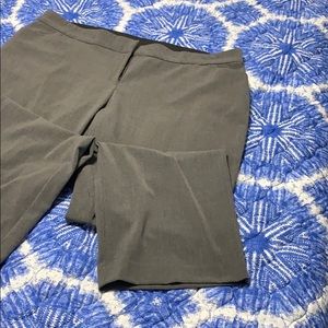 Briggs dress pant